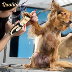 Merkloos Professionele Honden Tondeuse Set - Tondeuse Voor Huisdier Honden En Katten - Hondentrimmer - Hondentondeuse -Hondenserie Winkel 1198x1200 20