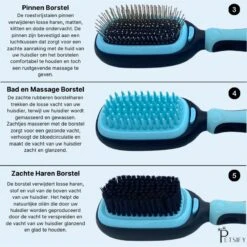 Petsify - Dierenborstel - Professionele 5 In 1 Hondenborstel - Voor Hond En Kat - Tweezijdig - Hondenkam - Kattenborstel - Kattenkam 11 Petsify - Dierenborstel - Professionele 5 In 1 Hondenborstel - Voor Hond En Kat - Tweezijdig - Hondenkam - Kattenborstel - Kattenkam -Hondenserie Winkel 1198x1200 21
