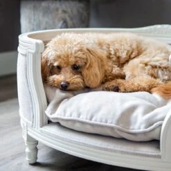 Lord Lou - George Blauw Velvet S - Luxe Hondenmand - Luxe Kattenmand - 49x40x31 21 Lord Lou - George Blauw Velvet S - Luxe Hondenmand - Luxe Kattenmand - 49x40x31 -Hondenserie Winkel 1198x1200