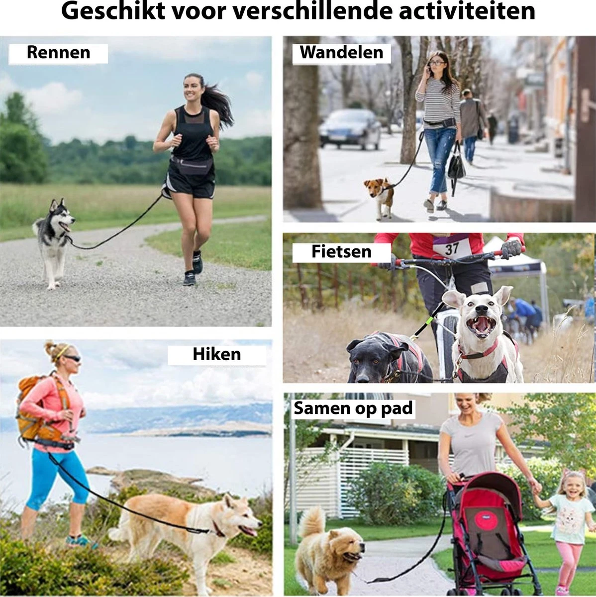 Filo Elastische Hondenriem Middel - Hardlopen En Wandelen - Hardloopriem Hond Handsfree Met Heuptasje - Looplijn Met Heupriem - Canicross Gordel Honden - Riemen - Heupgordel - Leiband 9 Filo Elastische Hondenriem Middel - Hardlopen En Wandelen - Hardloopriem Hond Handsfree Met Heuptasje - Looplijn Met Heupriem - Canicross Gordel Honden - Riemen - Heupgordel - Leiband - Afbeelding 7