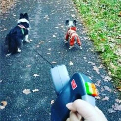 Merkloos Dubbele Hondenriem Voor Twee Honden - Grijs - Tot 22 Kg (per Hond) - 300 Cm 16 Merkloos Dubbele Hondenriem Voor Twee Honden - Grijs - Tot 22 Kg (per Hond) - 300 Cm -Hondenserie Winkel 1198x1200 29