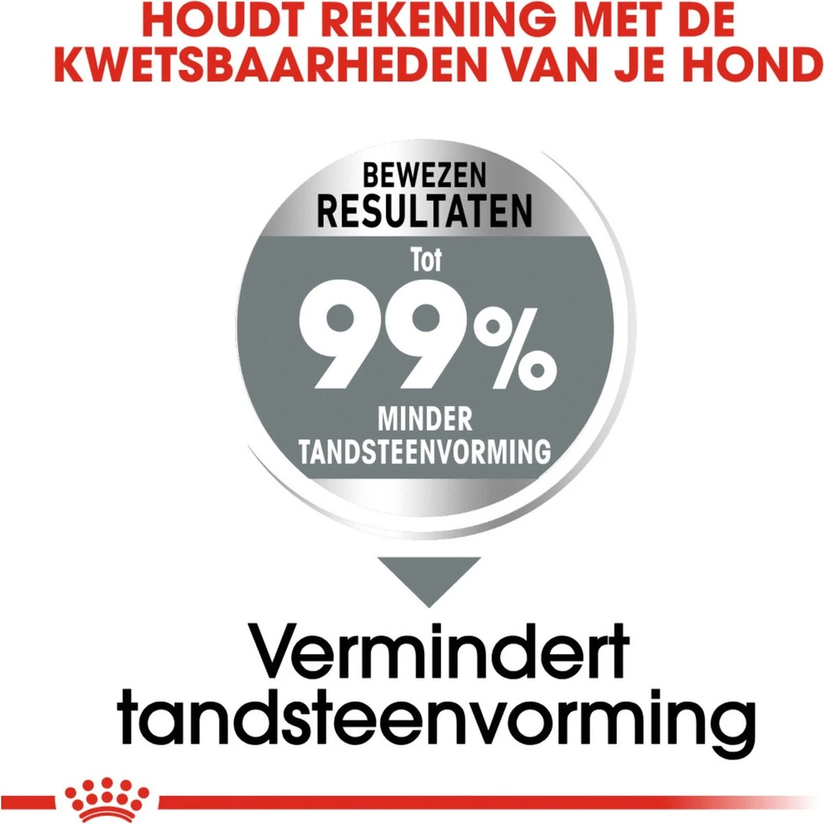 Royal Canin Medium Dental Care - 10 Kg 7 Royal Canin Medium Dental Care - 10 Kg - Afbeelding 5