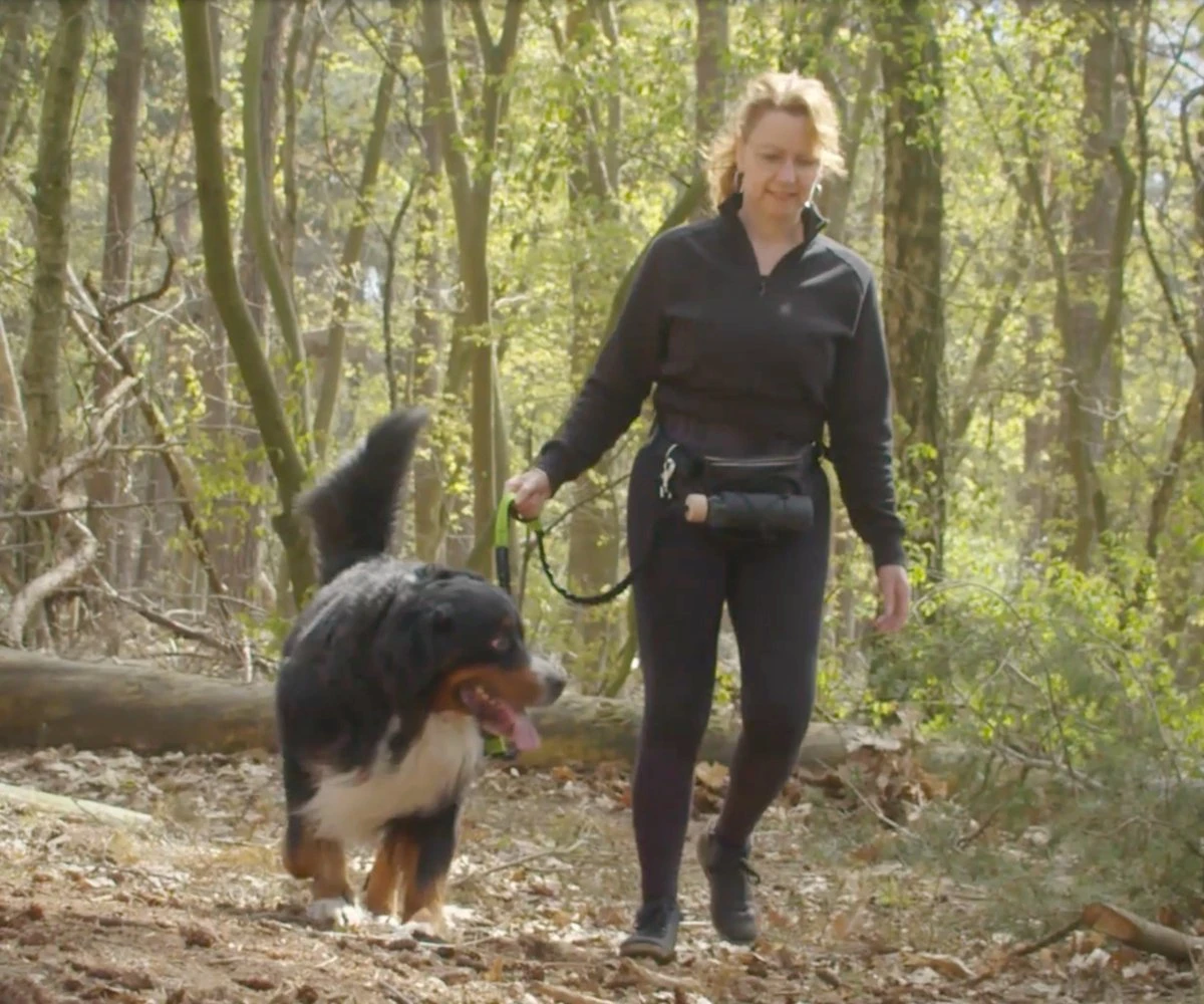 Canicross Looplijn Hond Met Heupriem Voor Hardlopen - Elastische Handsfree Hondenriem - Honden Trainingslijn - 150/210cm - Zwart 4 Canicross Looplijn Hond Met Heupriem Voor Hardlopen - Elastische Handsfree Hondenriem - Honden Trainingslijn - 150/210cm - Zwart - Afbeelding 2