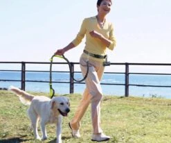 Canicross Looplijn Hond Met Heupriem Voor Hardlopen - Elastische Handsfree Hondenriem - Honden Trainingslijn - 150/210cm - Zwart 15 Canicross Looplijn Hond Met Heupriem Voor Hardlopen - Elastische Handsfree Hondenriem - Honden Trainingslijn - 150/210cm - Zwart -Hondenserie Winkel 1200x1000 8