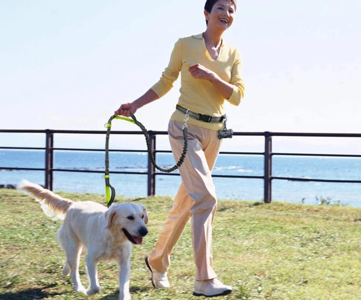 Canicross Looplijn Hond Met Heupriem Voor Hardlopen - Elastische Handsfree Hondenriem - Honden Trainingslijn - 150/210cm - Zwart 9 Canicross Looplijn Hond Met Heupriem Voor Hardlopen - Elastische Handsfree Hondenriem - Honden Trainingslijn - 150/210cm - Zwart - Afbeelding 7