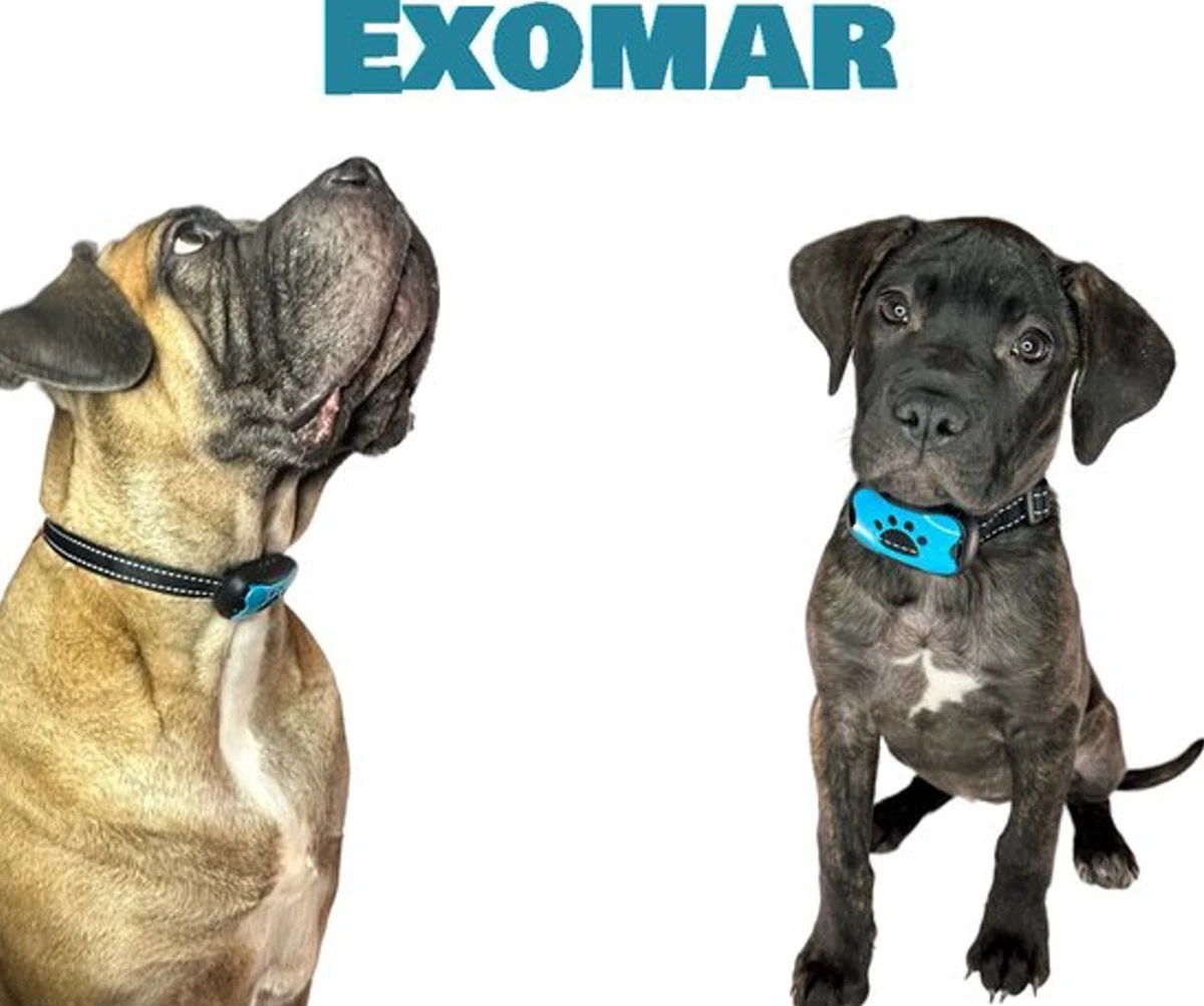 Exomar® Anti Blafband Voor Honden Blafband Anti Blaf Apparaat Blafband Zonder Schok - Diervriendelijk 9 Exomar® Anti Blafband Voor Honden Blafband Anti Blaf Apparaat Blafband Zonder Schok - Diervriendelijk - Afbeelding 7