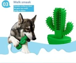 Tandenborstel + TANDPASTA Hond Melk Geur Smaak En Piep Honden Speelgoed - Cactus Dog Toy Tandverzorging Kauwbotten Hondenspeelgoed Hondenbot Kauwstaaf Tanden Puppy Hondenspeeltje Sterk Kauwspeelgoed - Dutchwide -Hondenserie Winkel 1200x1008 5