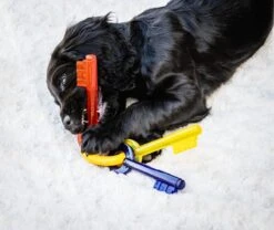 Nylabone Puppy Teething Key Flexible Geel&Blauw&Rood - Hondenspeelgoed - Wolf Tot 16kg -Hondenserie Winkel 1200x1009