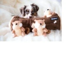 Zippy Paws - Petshop By Fringe Studio- Intelligentie Spel - Speelgoed Hond - Honden - Puzzel - Eekhoorn -Hondenserie Winkel 1200x1014 1