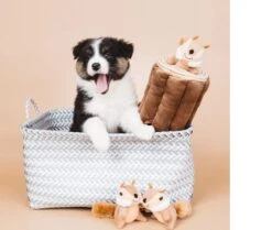 Zippy Paws - Petshop By Fringe Studio- Intelligentie Spel - Speelgoed Hond - Honden - Puzzel - Eekhoorn -Hondenserie Winkel 1200x1014