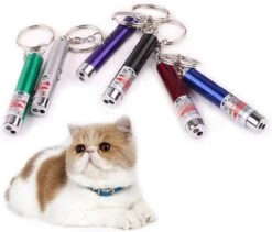 Katten Laser - Lampje Voor De Kat - 2 In 1 - Laser + Wit Lampje - Met Hanger - Katten / Honden Laserlamp - Mini - Sleutelhanger -Hondenserie Winkel 1200x1023