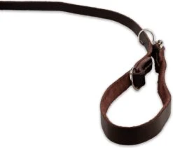 Multifunctionele Hondenriem - 220cm - Bruin - Leren Hondenriem - 100% Volnerfleer - Hondenriem Leer - Leiband Hond -Hondenserie Winkel 1200x1026 6