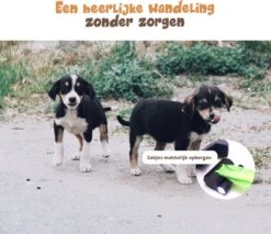 Dubbele Honden Riem – Leiband Hond – Hondenlijn – Looplijn Hond – 2 Honden – 3 Meter – Tot 12kg Per Hond – Reflecterende Lijnen – Met Zaklamp – 360° Draaien – Verstelbaar - Zwart 16 Dubbele Honden Riem – Leiband Hond – Hondenlijn – Looplijn Hond – 2 Honden – 3 Meter – Tot 12kg Per Hond – Reflecterende Lijnen – Met Zaklamp – 360° Draaien – Verstelbaar - Zwart -Hondenserie Winkel 1200x1035 2