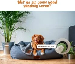 Praatknop Hond – Set Van 4 - Honden Speelgoed – Honden Training – Dogbuttons – Huisdier – Puppy Training - Hondenspeelgoed Intelligentie - Hond Opvoeden -Hondenserie Winkel 1200x1036 3
