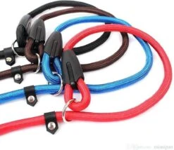 Merkloos Nylon Trainingslijn Voor Honden - Hondenriem - Blauw - Tot 5 Kg 11 Merkloos Nylon Trainingslijn Voor Honden - Hondenriem - Blauw - Tot 5 Kg -Hondenserie Winkel 1200x1038 2