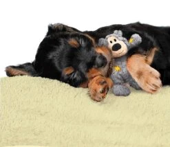 Kong Wild Knots Beer - Hondenspeelgoed - Assorti - M - 25 X 20 X 10 Cm -Hondenserie Winkel 1200x1042 1