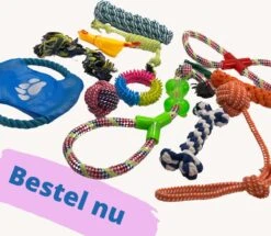 (Goedkoopste) Honden Speelgoed Set 15 Stuks Geschikt Voor Puppy's T/m Middelgrote Honden - Honden Kauw Speelgoed - 15 Stuks - Hondenspeeltjes - Intelligentie - Touw - Flostouw - Bijtring - Bal - Huisdieren Speelgoed 21 (Goedkoopste) Honden Speelgoed Set 15 Stuks Geschikt Voor Puppy's T/m Middelgrote Honden - Honden Kauw Speelgoed - 15 Stuks - Hondenspeeltjes - Intelligentie - Touw - Flostouw - Bijtring - Bal - Huisdieren Speelgoed -Hondenserie Winkel 1200x1046