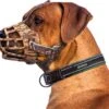 Sharon-B Muilkorf Hond - Camo Bruin - Maat M - Snuitomtrek 26 Tot 30 Cm - Voor Middelgrote Honden 2 Sharon-B Muilkorf Hond - Camo Bruin - Maat M - Snuitomtrek 26 Tot 30 Cm - Voor Middelgrote Honden -Hondenserie Winkel 1200x1054 3