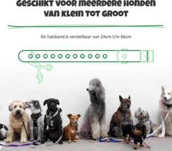 Anti Blafband Met Afstandsbediening - Blafband Voor Honden - Anti Blaf Apparaat Zonder Schok - Twee In Een Trainingshalsband 17 Anti Blafband Met Afstandsbediening - Blafband Voor Honden - Anti Blaf Apparaat Zonder Schok - Twee In Een Trainingshalsband -Hondenserie Winkel 1200x1055