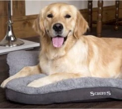Scruffs Cosy - Comfortabel Hondenkussen In Grijs, Beige Of Karamel - Met Imitatie Suède Buitenvoering En Superzachte Binnenvoering - 100 X 70 Cm - Grijs 30 Scruffs Cosy - Comfortabel Hondenkussen In Grijs, Beige Of Karamel - Met Imitatie Suède Buitenvoering En Superzachte Binnenvoering - 100 X 70 Cm - Grijs -Hondenserie Winkel 1200x1080 1