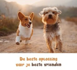 Dubbele Honden Riem – Leiband Hond – Hondenlijn – Looplijn Hond – 2 Honden – 3 Meter – Tot 12kg Per Hond – Reflecterende Lijnen – Met Zaklamp – 360° Draaien – Verstelbaar - Zwart 19 Dubbele Honden Riem – Leiband Hond – Hondenlijn – Looplijn Hond – 2 Honden – 3 Meter – Tot 12kg Per Hond – Reflecterende Lijnen – Met Zaklamp – 360° Draaien – Verstelbaar - Zwart -Hondenserie Winkel 1200x1087 11