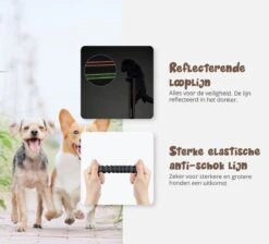 Hardloopriem Hond – Honden Riem Handsfree – Hardlopen Met Hond – 160-260 Cm Blauw - Hardloopband Hond – Halsband Hond – Hondenlijn – Leiband Hond -Hondenserie Winkel 1200x1087 8