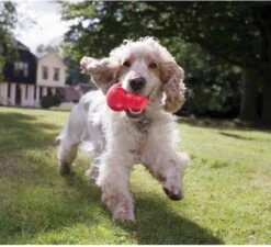 Kong Kauwbot - Hondenspeelgoed - Rood - M 27 Kong Kauwbot - Hondenspeelgoed - Rood - M -Hondenserie Winkel 1200x1092