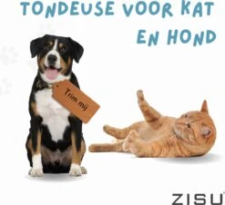 Hondentondeuse - Hondentrimmer - Dieren Tondeuse - Draadloos - 4 Opzetkammen - INCLUSIEF SNACKJE - Zwart 21 Hondentondeuse - Hondentrimmer - Dieren Tondeuse - Draadloos - 4 Opzetkammen - INCLUSIEF SNACKJE - Zwart -Hondenserie Winkel 1200x1098 1