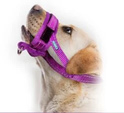 Sharon B Muilkorf Paars Maat M - Fleece - Wasbaar - Reflecterend