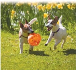 Kong Jumbler Ball - Assorti - M/L - Hondenspeelgoed - Ø14 Cm 15 Kong Jumbler Ball - Assorti - M/L - Hondenspeelgoed - Ø14 Cm -Hondenserie Winkel 1200x1102 1