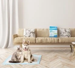 Nobleza 48DHD - Puppy Training Pads - 60 X 40 Cm - Zindelijkheidstraining - 50 Stuks 12 Nobleza 48DHD - Puppy Training Pads - 60 X 40 Cm - Zindelijkheidstraining - 50 Stuks -Hondenserie Winkel 1200x1105 4