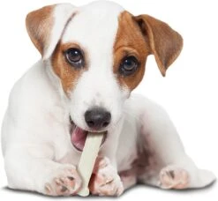 Nylabone Harde Bijters Kluif - Kip - Voor Honden Tot 30 Kg -Hondenserie Winkel 1200x1107 2