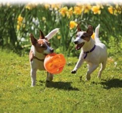 Kong Jumbler Ball - Assorti - M/L - Hondenspeelgoed - Ø14 Cm 20 Kong Jumbler Ball - Assorti - M/L - Hondenspeelgoed - Ø14 Cm -Hondenserie Winkel 1200x1108 3