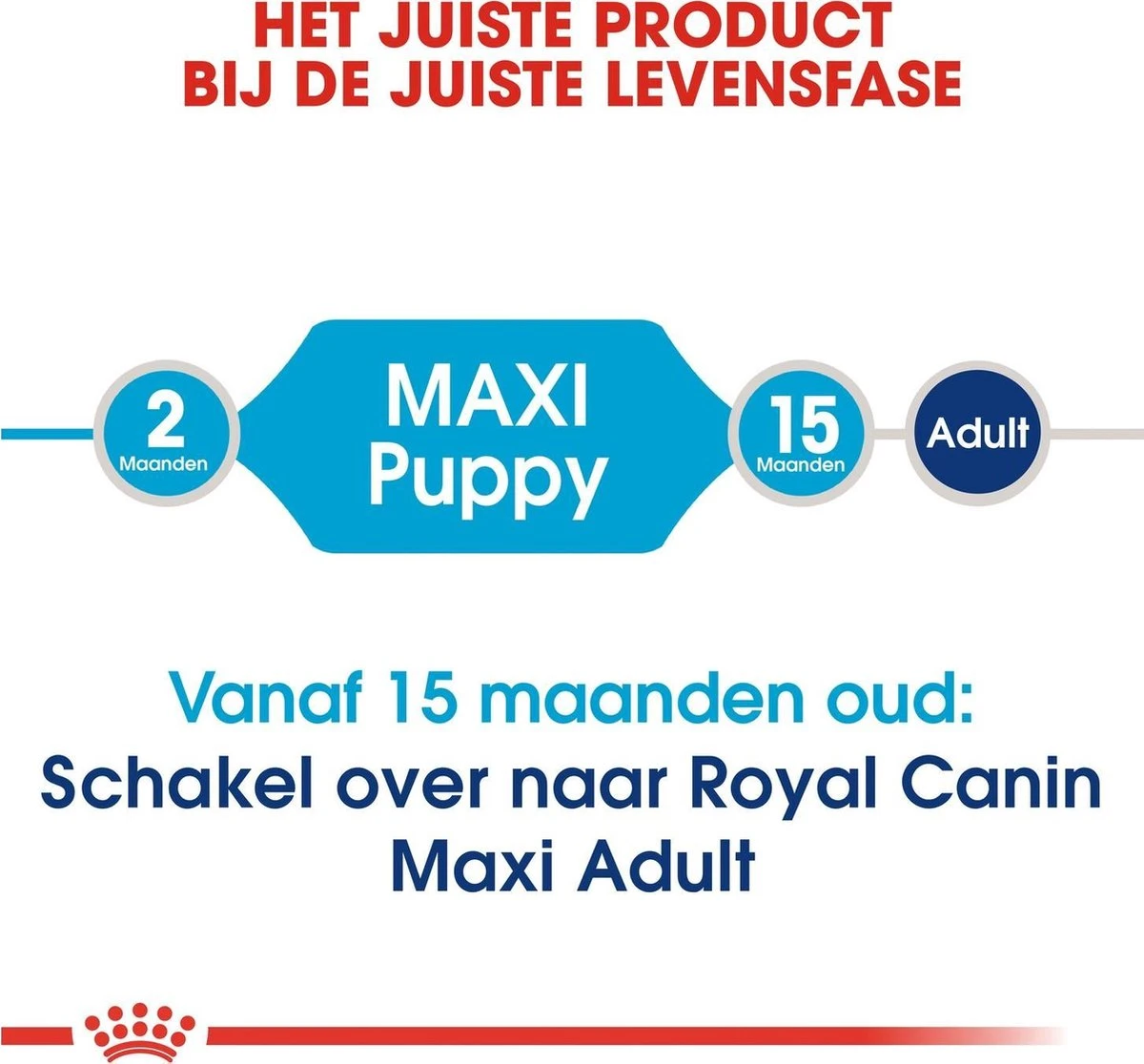 Royal Canin Maxi Puppy 4 KG 13 Royal Canin Maxi Puppy 4 KG - Afbeelding 11