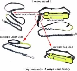 Hondenriem Hardloopriem Elastische Reflecterende Geschikt Voor Hardlopen - Handsfree Riem Met Opbergtasje – Hond Looplijn - Schokabsorberend - Groen 11 Hondenriem Hardloopriem Elastische Reflecterende Geschikt Voor Hardlopen - Handsfree Riem Met Opbergtasje – Hond Looplijn - Schokabsorberend - Groen -Hondenserie Winkel 1200x1118 9