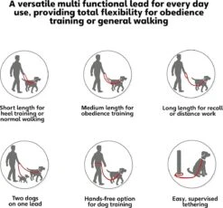 Company Of Animals Halti Trainingslijn - Large - 2 Meter - Verstelbaar - Zwart 21 Company Of Animals Halti Trainingslijn - Large - 2 Meter - Verstelbaar - Zwart -Hondenserie Winkel 1200x1119 3