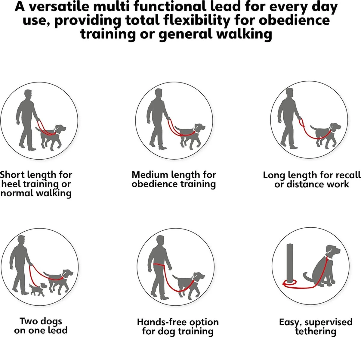 Company Of Animals Halti Trainingslijn - Large - 2 Meter - Verstelbaar - Zwart 9 Company Of Animals Halti Trainingslijn - Large - 2 Meter - Verstelbaar - Zwart - Afbeelding 7