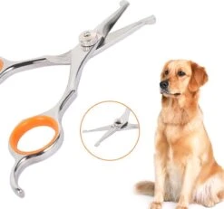 Merkloos Premium Gebogen Trimschaar Honden - Huisdier Trimmen - Hoofd, Poten Ogen & Oren - Kat & Hond Knippen - Veilige Schaar 14 Merkloos Premium Gebogen Trimschaar Honden - Huisdier Trimmen - Hoofd, Poten Ogen & Oren - Kat & Hond Knippen - Veilige Schaar -Hondenserie Winkel 1200x1120 6