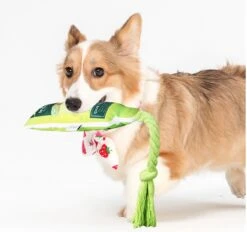 Merkloos Hondenspeelgoed - Piepspeelgoed - Trekspeeltje - Chocobruin -Hondenserie Winkel 1200x1127 2