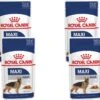Royal Canin Shn Maxi Adult Pouch - Hondenvoer - 4 X 10 X 140 G 2 Royal Canin Shn Maxi Adult Pouch - Hondenvoer - 4 X 10 X 140 G -Hondenserie Winkel 1200x1128 1