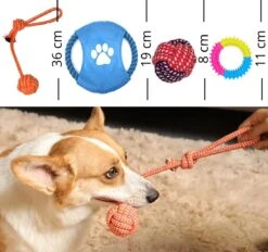 (Goedkoopste) Honden Speelgoed Set 15 Stuks Geschikt Voor Puppy's T/m Middelgrote Honden - Honden Kauw Speelgoed - 15 Stuks - Hondenspeeltjes - Intelligentie - Touw - Flostouw - Bijtring - Bal - Huisdieren Speelgoed 13 (Goedkoopste) Honden Speelgoed Set 15 Stuks Geschikt Voor Puppy's T/m Middelgrote Honden - Honden Kauw Speelgoed - 15 Stuks - Hondenspeeltjes - Intelligentie - Touw - Flostouw - Bijtring - Bal - Huisdieren Speelgoed -Hondenserie Winkel 1200x1128 3