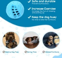 Nobleza Honden Speelgoed - Hondenspeeltjes - Hondenbal - Hondenspeelgoed - Honden Bal - Snackbal Hond - Kauwspeelgoed - Blauw - 8 Cm 12 Nobleza Honden Speelgoed - Hondenspeeltjes - Hondenbal - Hondenspeelgoed - Honden Bal - Snackbal Hond - Kauwspeelgoed - Blauw - 8 Cm -Hondenserie Winkel 1200x1129 4