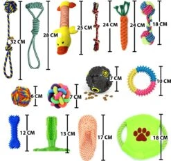 Filo Honden Speelgoed Set 14 Stuks - Hondenspeeltjes Knuffel - Hondenbal - Flostouw - Bot - Frisbee - Hondentouw - Hondenspeelgoed Intelligentie - Kauwspeelgoed Hond En Puppy - Bijtspeelgoed Hondenknuffel - Hondenspeeltje Met Piep 15 Filo Honden Speelgoed Set 14 Stuks - Hondenspeeltjes Knuffel - Hondenbal - Flostouw - Bot - Frisbee - Hondentouw - Hondenspeelgoed Intelligentie - Kauwspeelgoed Hond En Puppy - Bijtspeelgoed Hondenknuffel - Hondenspeeltje Met Piep -Hondenserie Winkel 1200x1133 1
