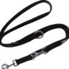 DDOXX Hondenriem Air Mesh, 3-voudig Verstelbaar, 2m | Voor Kleine & Grote Honden | Dubbele Riem Twee Honden Kat Puppy | Tug Leash Large | Lead Leash Small | Walking Leash Puppy Leash | Zwart, M 1 DDOXX Hondenriem Air Mesh, 3-voudig Verstelbaar, 2m | Voor Kleine & Grote Honden | Dubbele Riem Twee Honden Kat Puppy | Tug Leash Large | Lead Leash Small | Walking Leash Puppy Leash | Zwart, M -Hondenserie Winkel 1200x1133 3