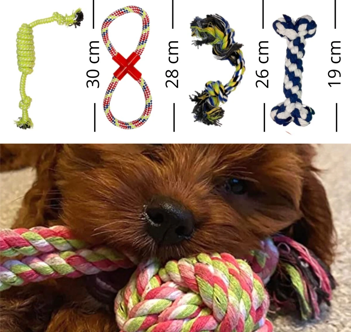 (Goedkoopste) Honden Speelgoed Set 15 Stuks Geschikt Voor Puppy's T/m Middelgrote Honden - Honden Kauw Speelgoed - 15 Stuks - Hondenspeeltjes - Intelligentie - Touw - Flostouw - Bijtring - Bal - Huisdieren Speelgoed 8 (Goedkoopste) Honden Speelgoed Set 15 Stuks Geschikt Voor Puppy's T/m Middelgrote Honden - Honden Kauw Speelgoed - 15 Stuks - Hondenspeeltjes - Intelligentie - Touw - Flostouw - Bijtring - Bal - Huisdieren Speelgoed - Afbeelding 6