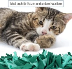 Bella & Balu Snuffelmat Voor Honden (45 X 30 Cm) - Het Snuffelmatten Dient Als Interactief Zoekspel, Bevordert Het Natuurlijk Zoeken Naar Voedsel En Traint De Reukzin Van Uw Hond (Groen) 10 Bella & Balu Snuffelmat Voor Honden (45 X 30 Cm) - Het Snuffelmatten Dient Als Interactief Zoekspel, Bevordert Het Natuurlijk Zoeken Naar Voedsel En Traint De Reukzin Van Uw Hond (Groen) -Hondenserie Winkel 1200x1142 2