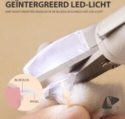 Professionele Oplaadbare LED Licht Nagelknipper, Hond, Kat, Knaagdier, Huisdieren | Dog, Cat, Nail Clipper LED Light, Rechargeable, USB Kabel | Nagelvijl - Nagelschaar Met Vijl, Opvang Van Nagels | Vergrootglas 5x | Extreem Veilig & 100% Effectief -Hondenserie Winkel 1200x1143 10