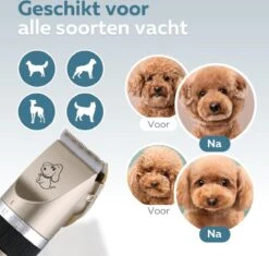 BYER Professionele Dieren Tondeuse Set - Voor Huisdieren Katten & Honden - Draadloos - Oplaadbare Pet Trimmer - Dog Tondeuze Clipper - 5 Standen & Vier Opzetkammen - Low Noise -Hondenserie Winkel 1200x1144 4