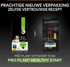 Pro Plan Healthy Start Puppy Large Athletic - Honden Droogvoer - Kip - 12 Kg 20 Pro Plan Healthy Start Puppy Large Athletic - Honden Droogvoer - Kip - 12 Kg -Hondenserie Winkel 1200x1145 1