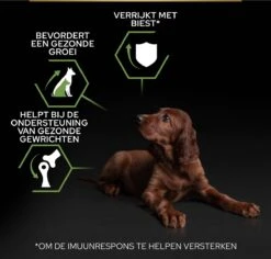 Pro Plan Healthy Start Puppy Large Athletic - Honden Droogvoer - Kip - 12 Kg 30 Pro Plan Healthy Start Puppy Large Athletic - Honden Droogvoer - Kip - 12 Kg -Hondenserie Winkel 1200x1146 10
